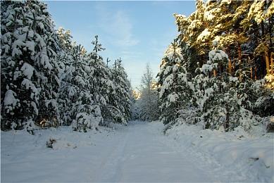 《GTA6》或有健身运动系统：提高属性 影响外观